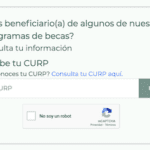 Buscador de Estatus