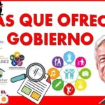 Cómo puedo obtener una beca del gobierno Cómo puedo obtener una beca del gobierno