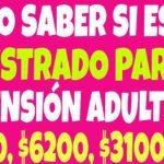Cómo saber si estoy inscrita en el programa de Bienestar