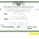 Cómo saber si hay un problema con mi CURP