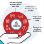 Cómo saber si tengo alguna ayuda por parte del gobierno Cómo saber si tengo alguna ayuda por parte del gobierno