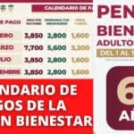 Cómo serán los pagos de bienestar para adultos mayores