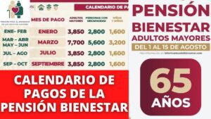 Cómo serán los pagos de bienestar para adultos mayores