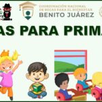 Cómo solicitar becas para niños de primaria, 2024 Cómo solicitar becas para niños de primaria, 2024