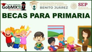Cómo solicitar becas para niños de primaria, 2024