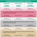 cuando dan la beca primaria 2024 📆