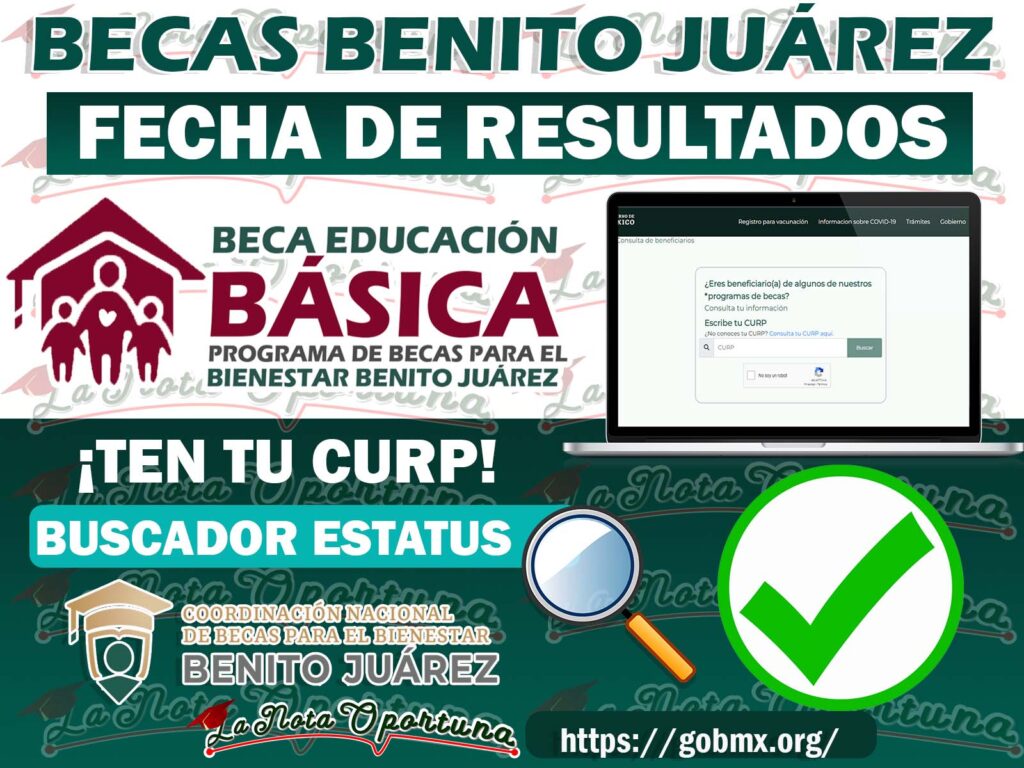 ¿Cuándo salen los resultados de la beca 2024-2025?