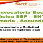 ¿Cuándo se abren las convocatorias de las becas 2024?
