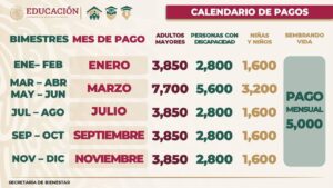 Cuánto es el próximo pago de Bienestar