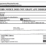 ¿Cuánto tiempo se tarda USCIS para revisar un caso?