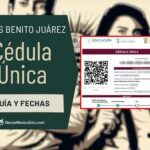 ¿Dónde puedo llenar la cédula única para Becas Benito Juárez? ¿Dónde puedo llenar la cédula única para Becas Benito Juárez?