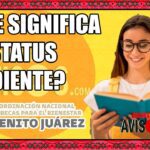 Por qué en mi estatus aparece pendiente