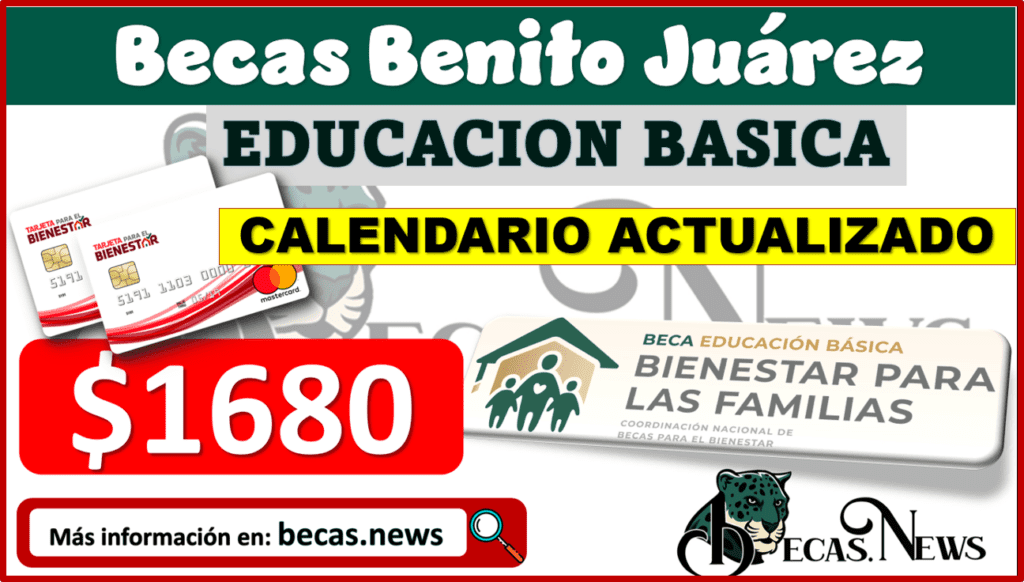 ¿Por qué no me ha llegado la beca 2024? ¿Por qué no me ha llegado la beca 2024?