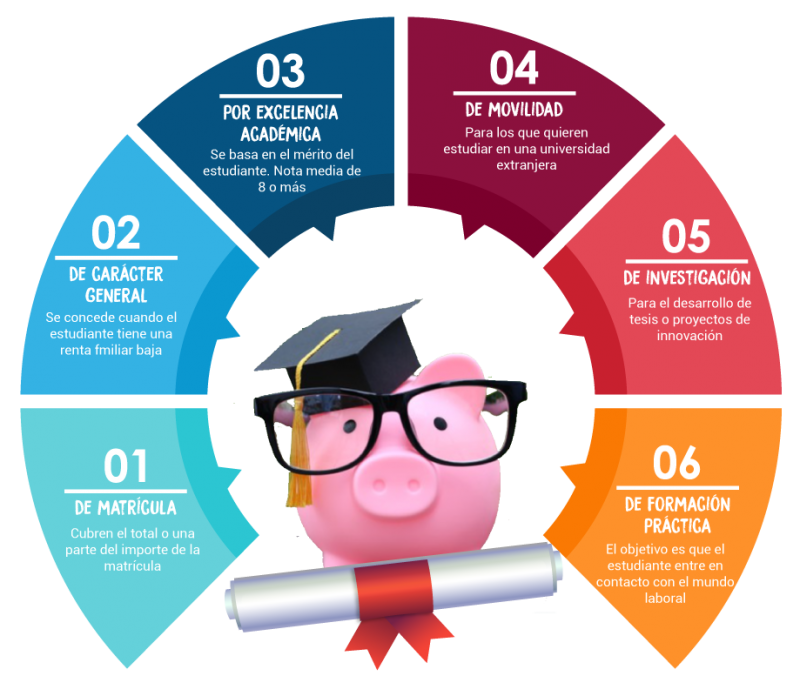 ¿Qué becas se pueden solicitar para la universidad?