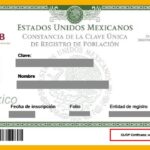 ¿Qué hago si mi CURP dice que no existe? ¿Qué hago si mi CURP dice que no existe?
