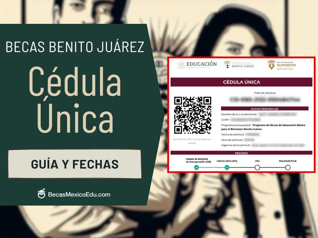 Qué pasa si no llené la Cédula Única